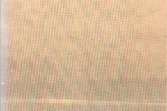 1930-The-Indians-of-Puget-Sound